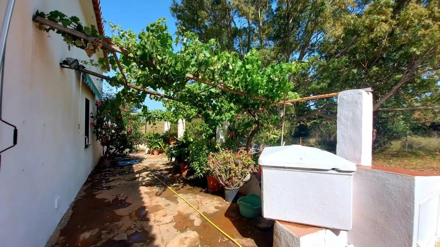 Garden of Country homes for sale in Mijas  with Private garden