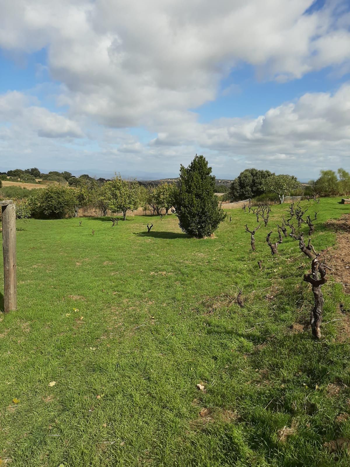 Country house for sale in Jerte  with Private garden and Storage room