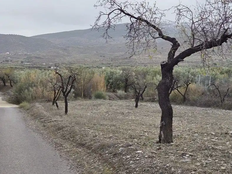 Grundstücke zum Verkauf in Abrucena