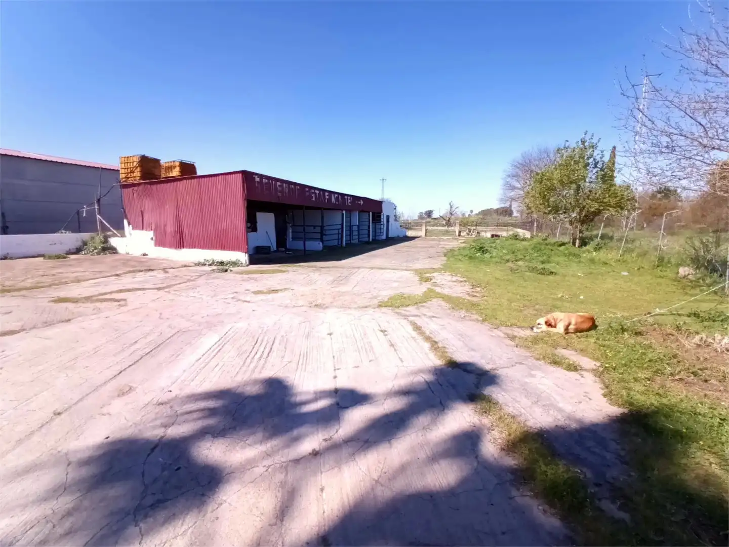 Finca rústica en venta en La Garrovilla 