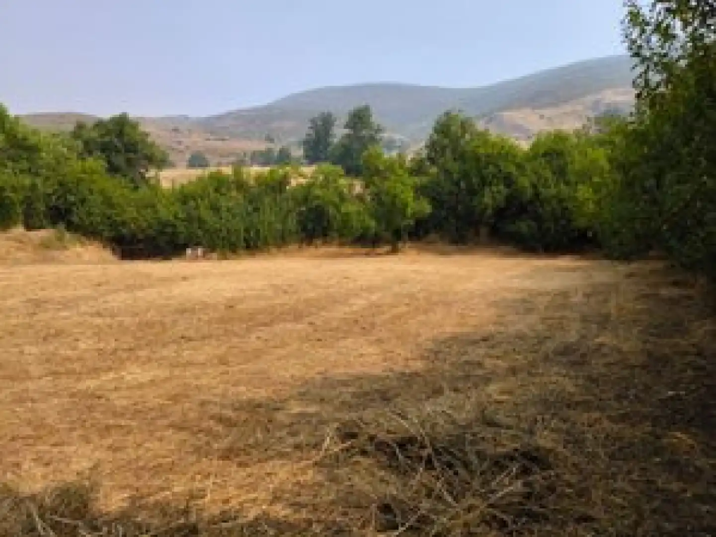 Grundstücke zum Verkauf in San Emiliano