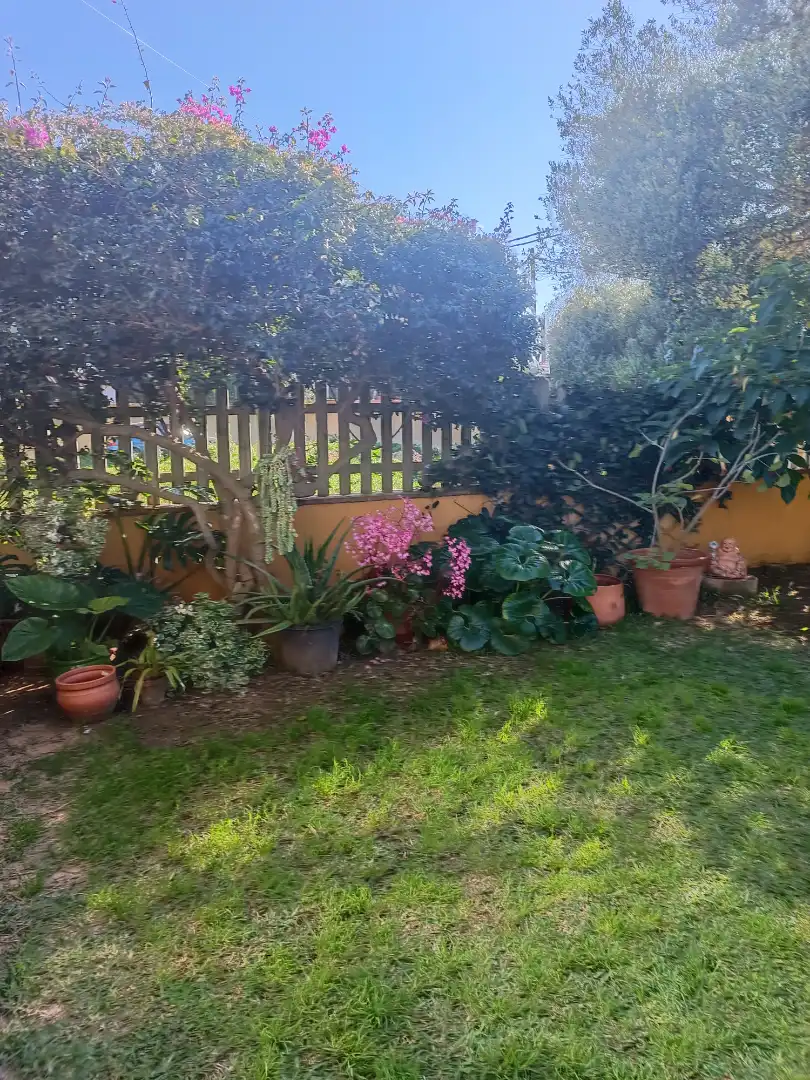 Casa rústica con jardín en venta en Zahora, imagen 5
