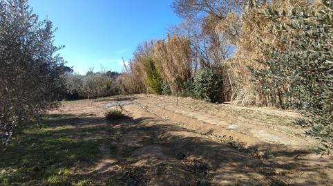 Foto 4 de Terreno en venta en Carrer Major, 54, Montferri, Tarragona
