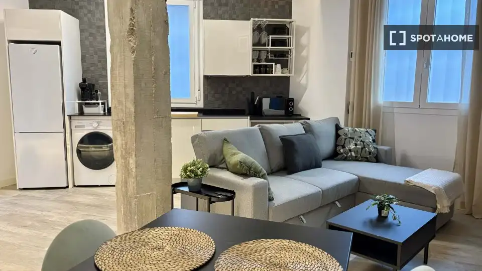 Sala de estar de Piso de alquiler en Madrid con Aire acondicionado, Calefacción y Amueblado