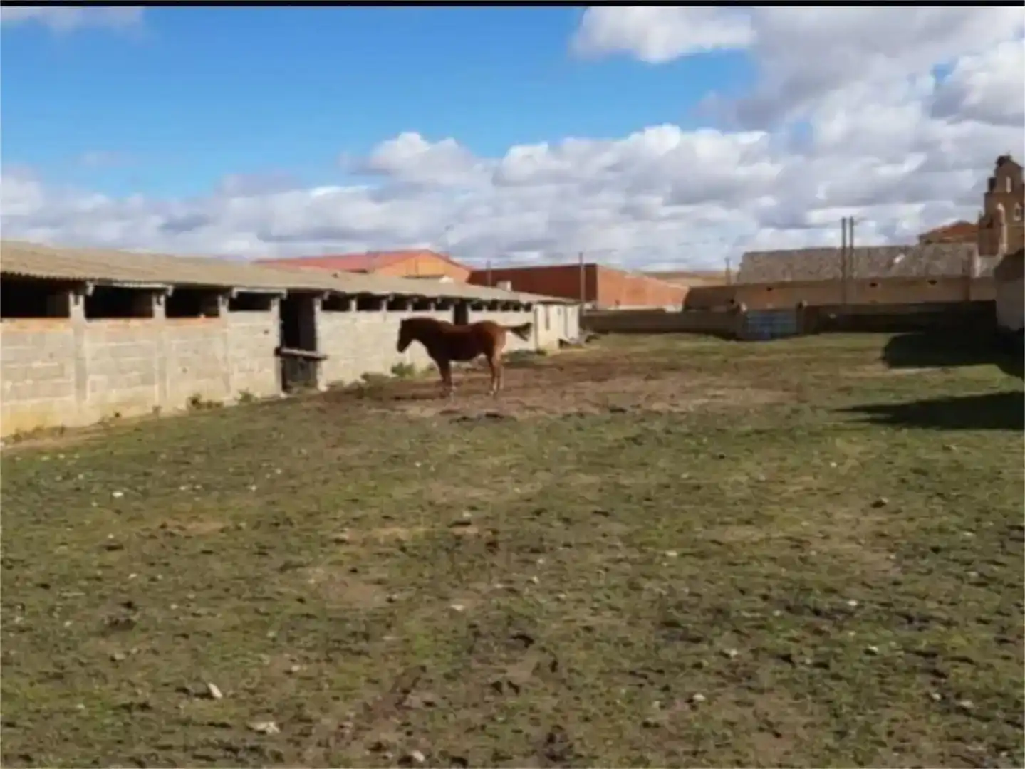 Finca rústica en venta en Cañizo