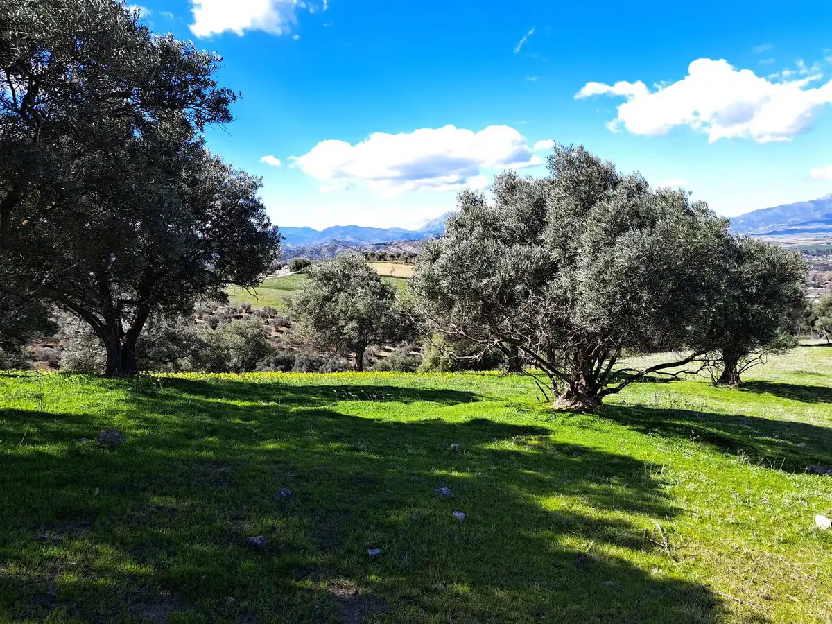 Terreni e lotti in vendita a Coín, imagen 3