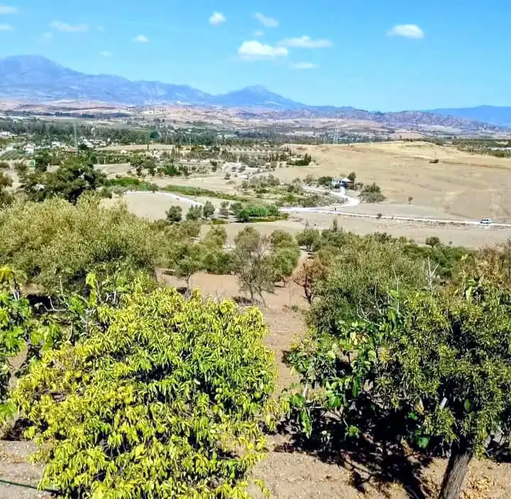 Terrenys i solars en venda a Coín, imagen 17