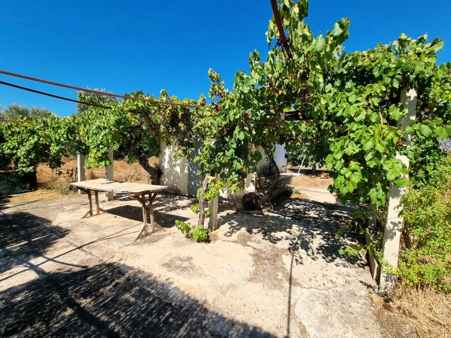 Lands and plots for sale in poligono 17 parcela 32, imagen 3