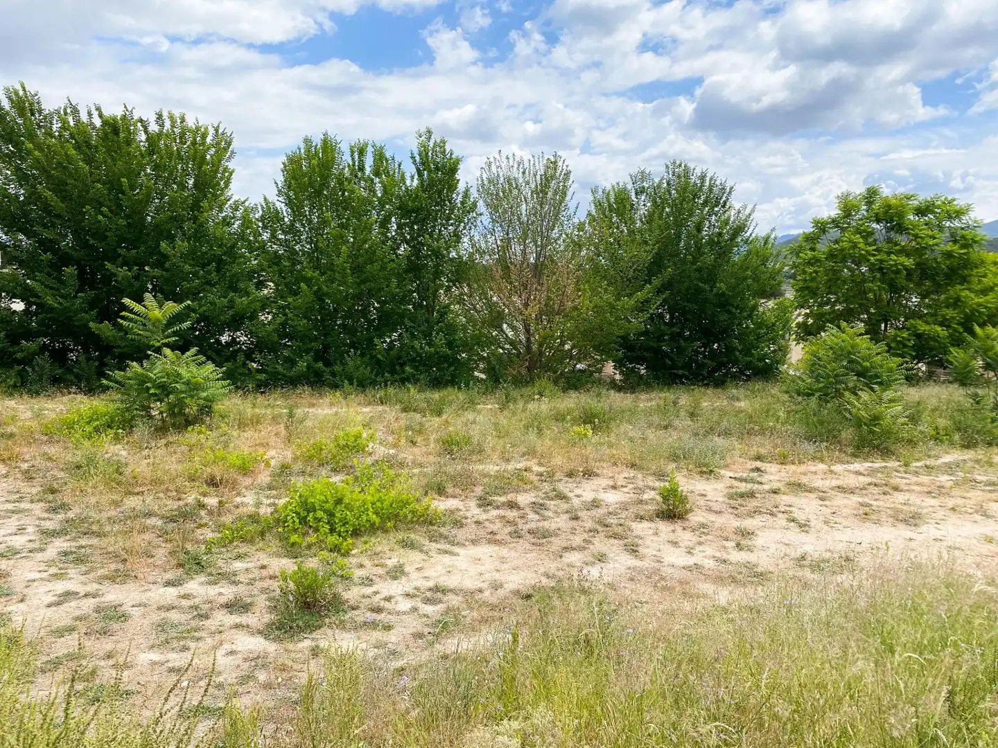 Terreno residenziale in vendita a Albaida, imagen 4