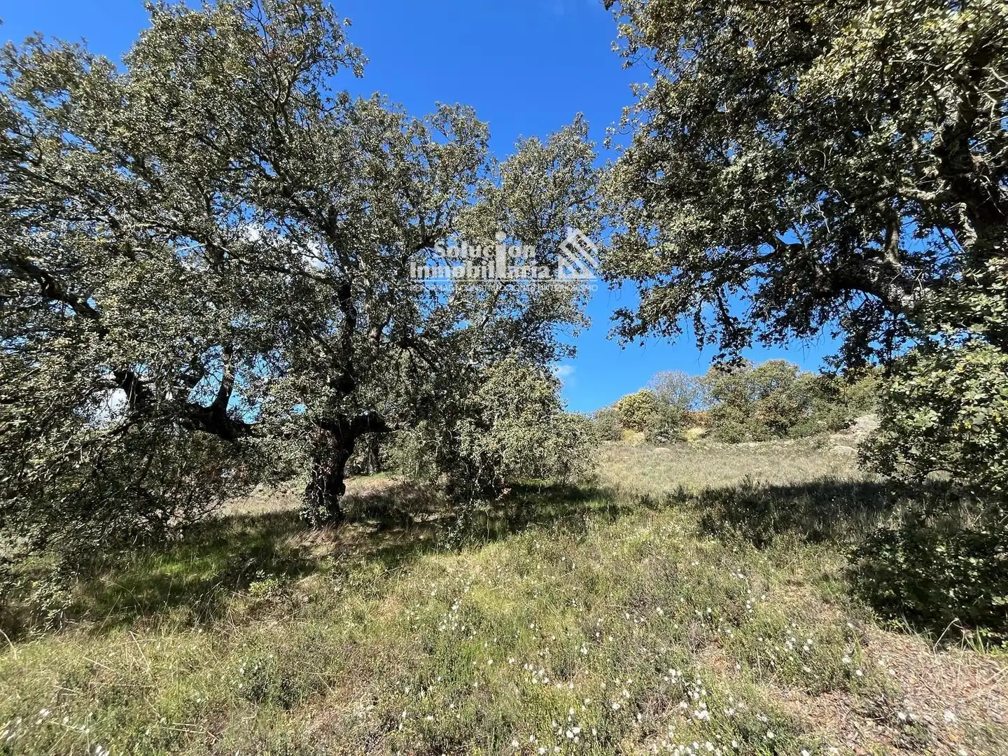 Terreno en venta en Terradillos