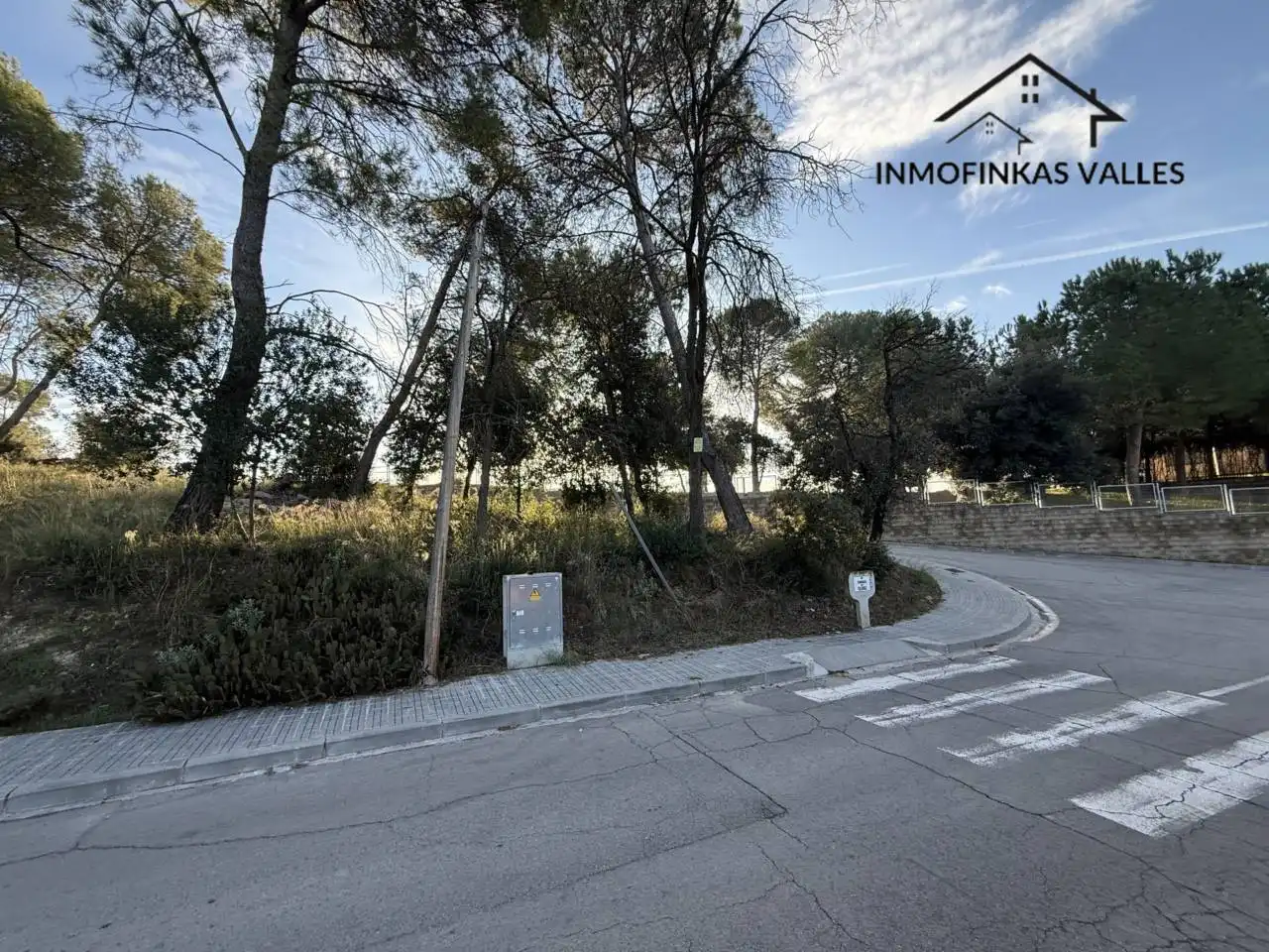 Terreno rústico en venta en Calle Cedro 4, imagen 11