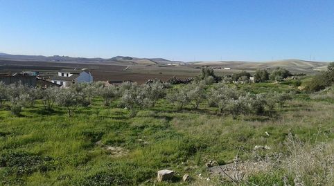 Foto 4 de Residencial en venta en Espera, Cádiz