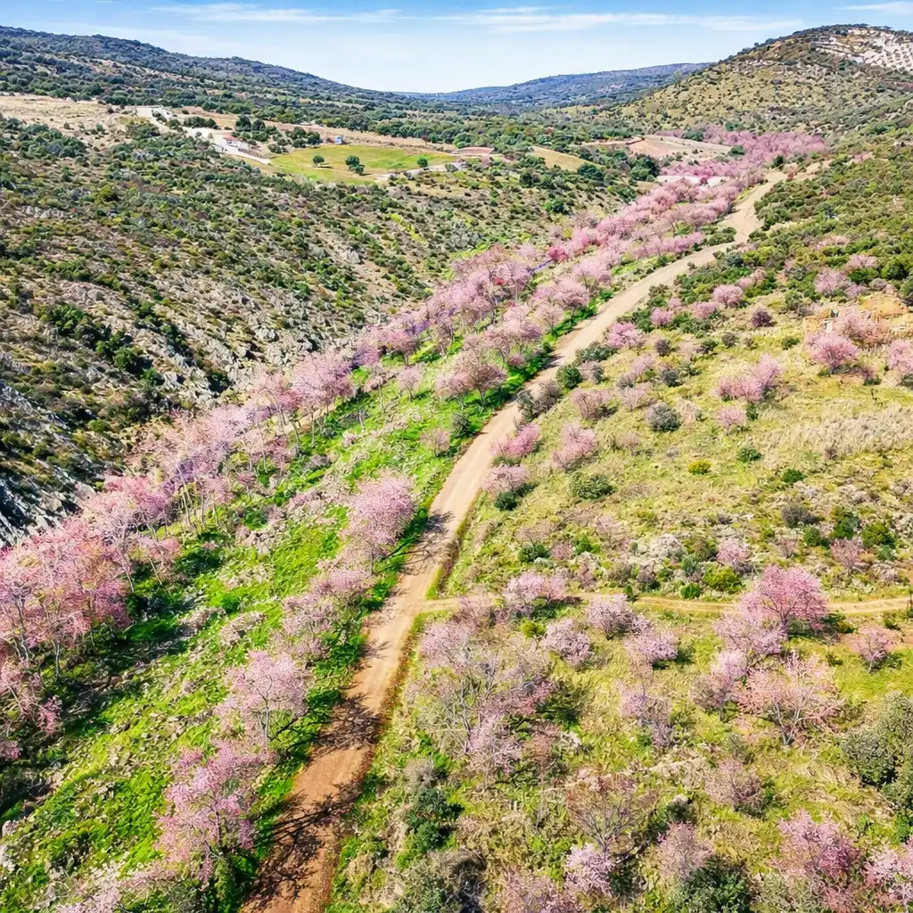 Vista exterior de Terreno en venta en Los Navalucillos