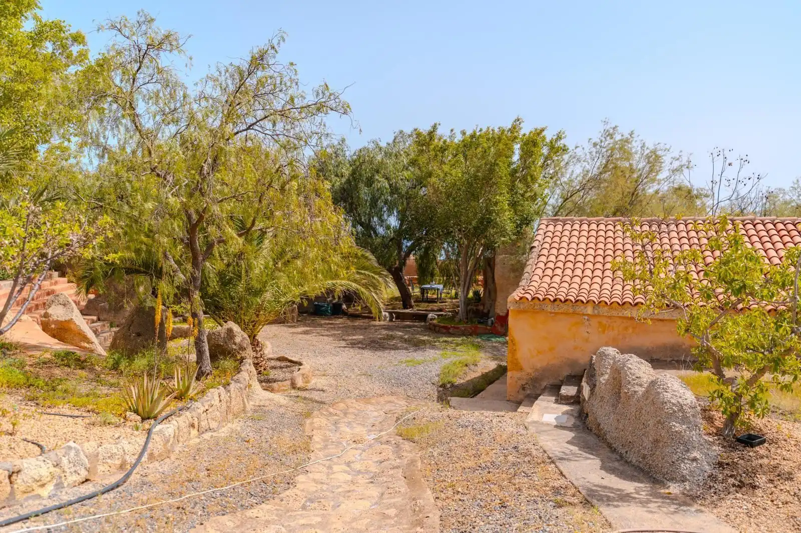 Vista exterior de Casa o xalet en venda en Granadilla de Abona ciudad