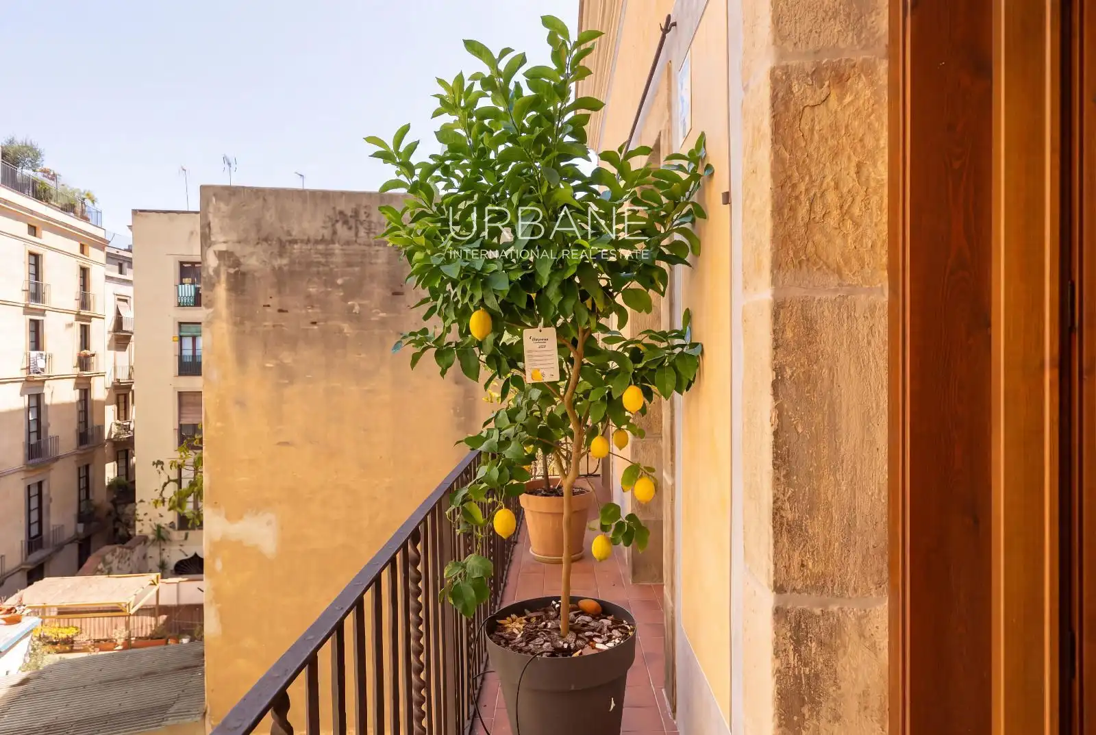 Terraza de Piso de alquiler en Ciutat Vella