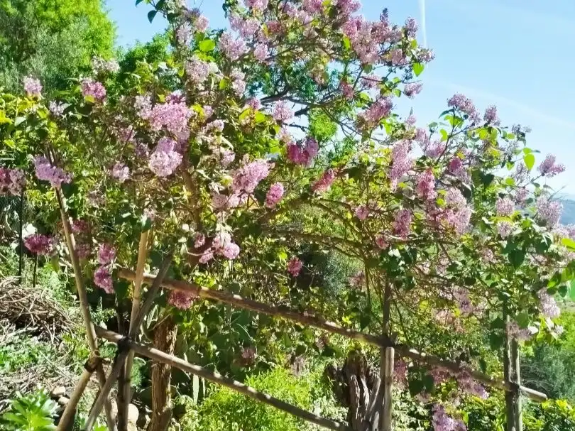 Jardín de Terreno en venta en Villanueva de la Concepción