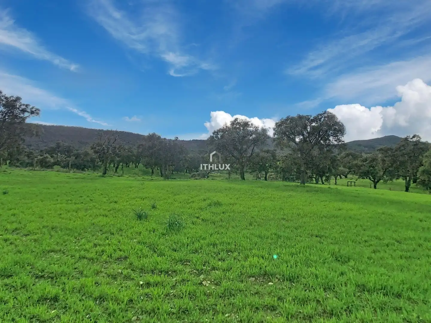Finca rústica en venda en La Codosera