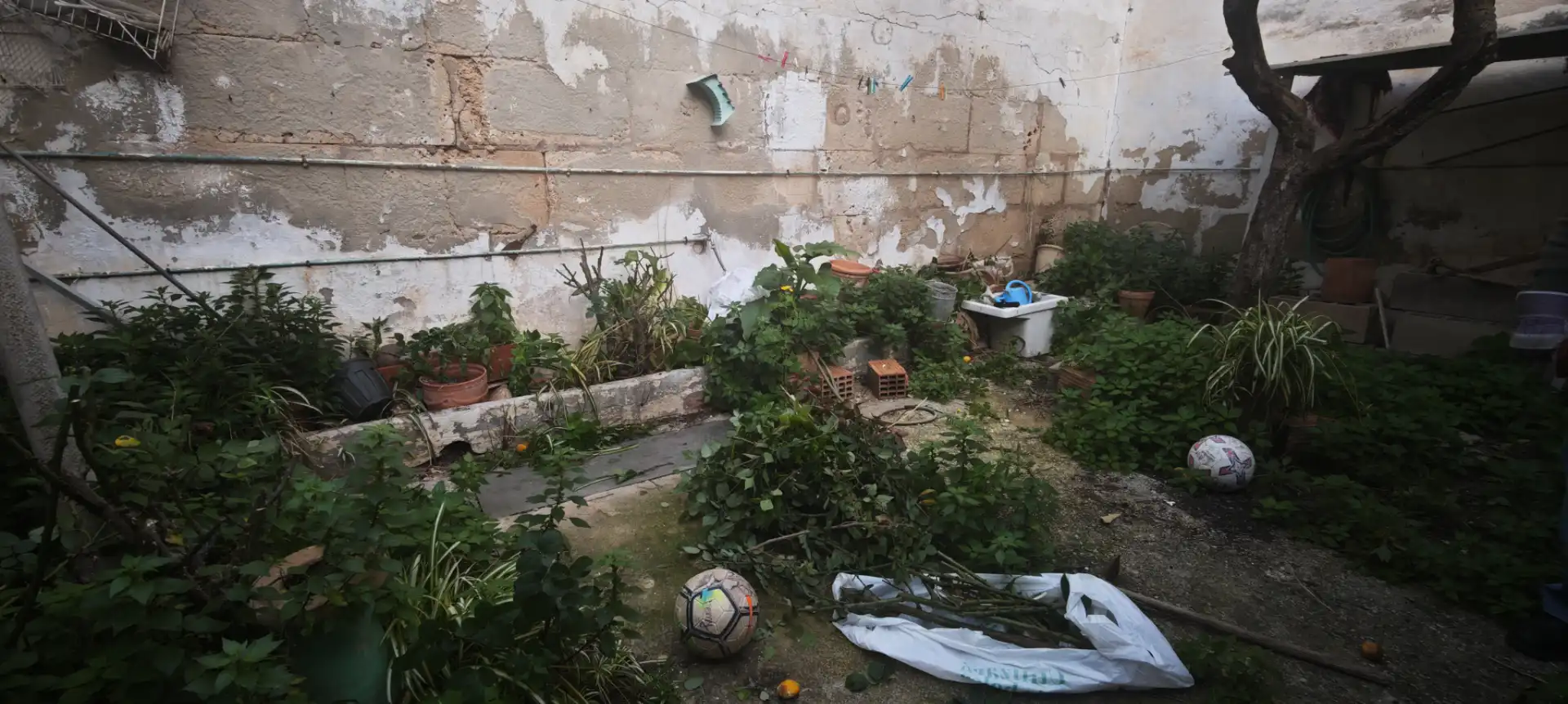 Jardín de Casa o chalet en venta en  Palma de Mallorca con Amueblado