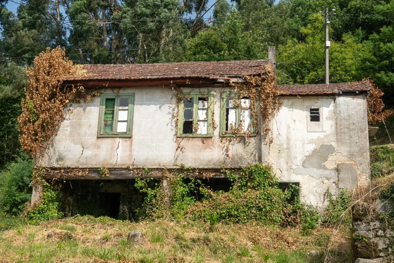 Vista exterior de Finca rústica en venda en Arbo amb Jardí privat