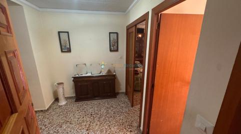 Foto 4 de Finca rústica en venda a Palma de Gandia, Valencia