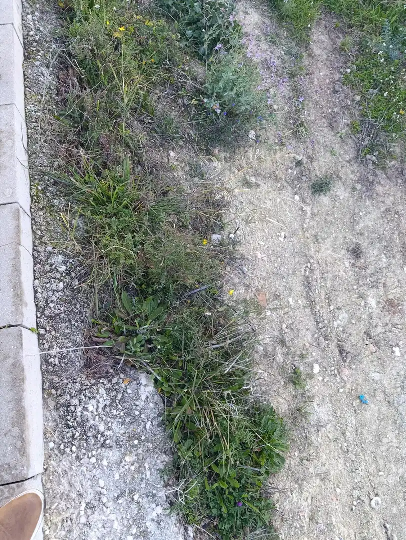 Terreni e lotti in vendita a Bullas, imagen 17