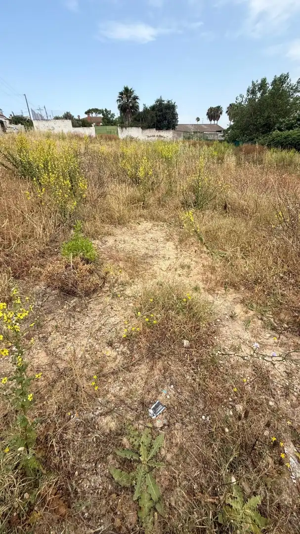 Rural land for sale in El Juncal - Vallealto, imagen 2