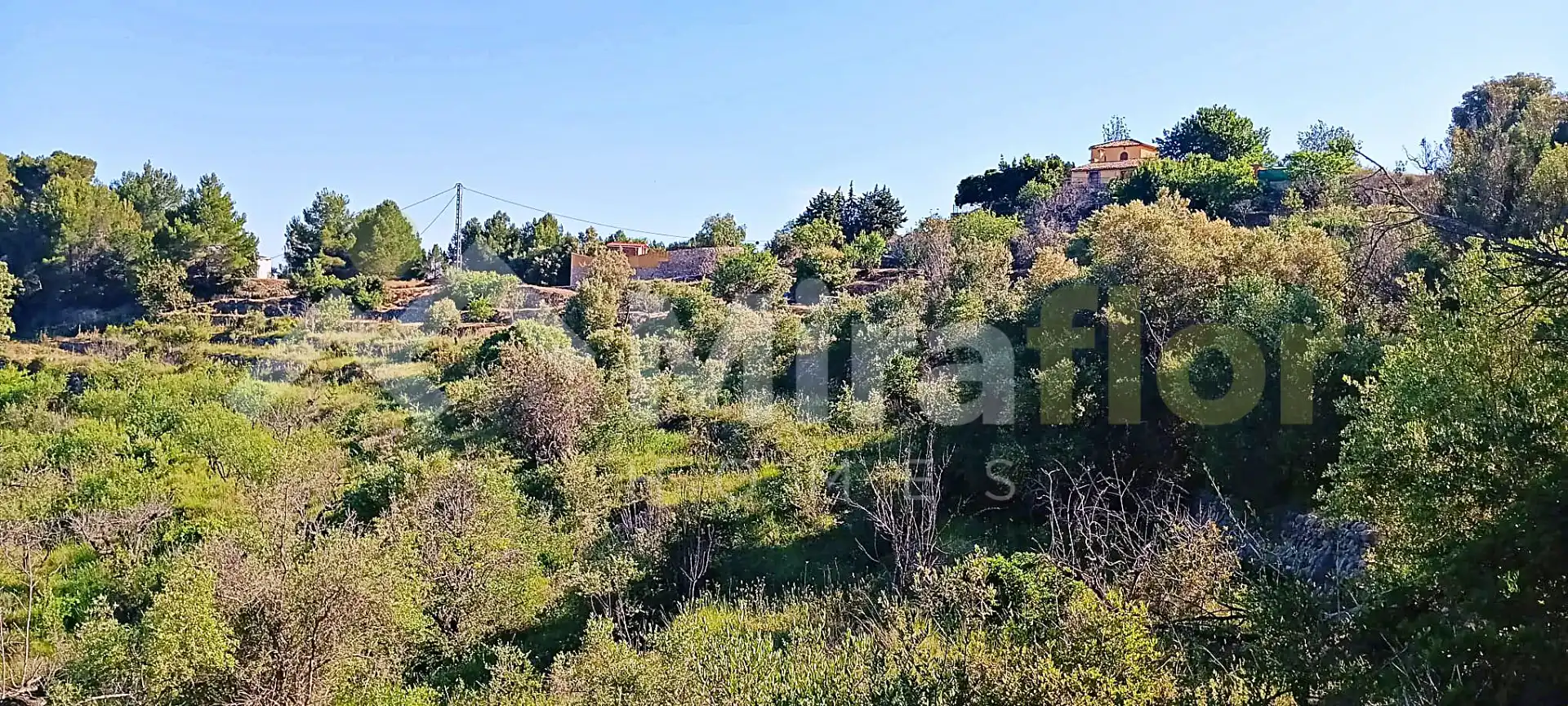 Terreny rústic en venda a Castell de Castells, imagen 8