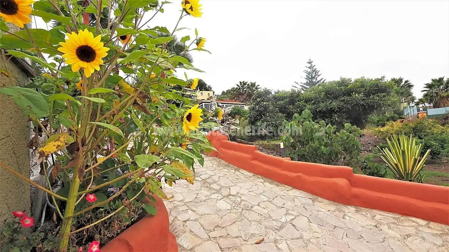 Maison rustique avec piscine à vendre à La Vega - El Amparo - Cueva del Viento, imagen 62