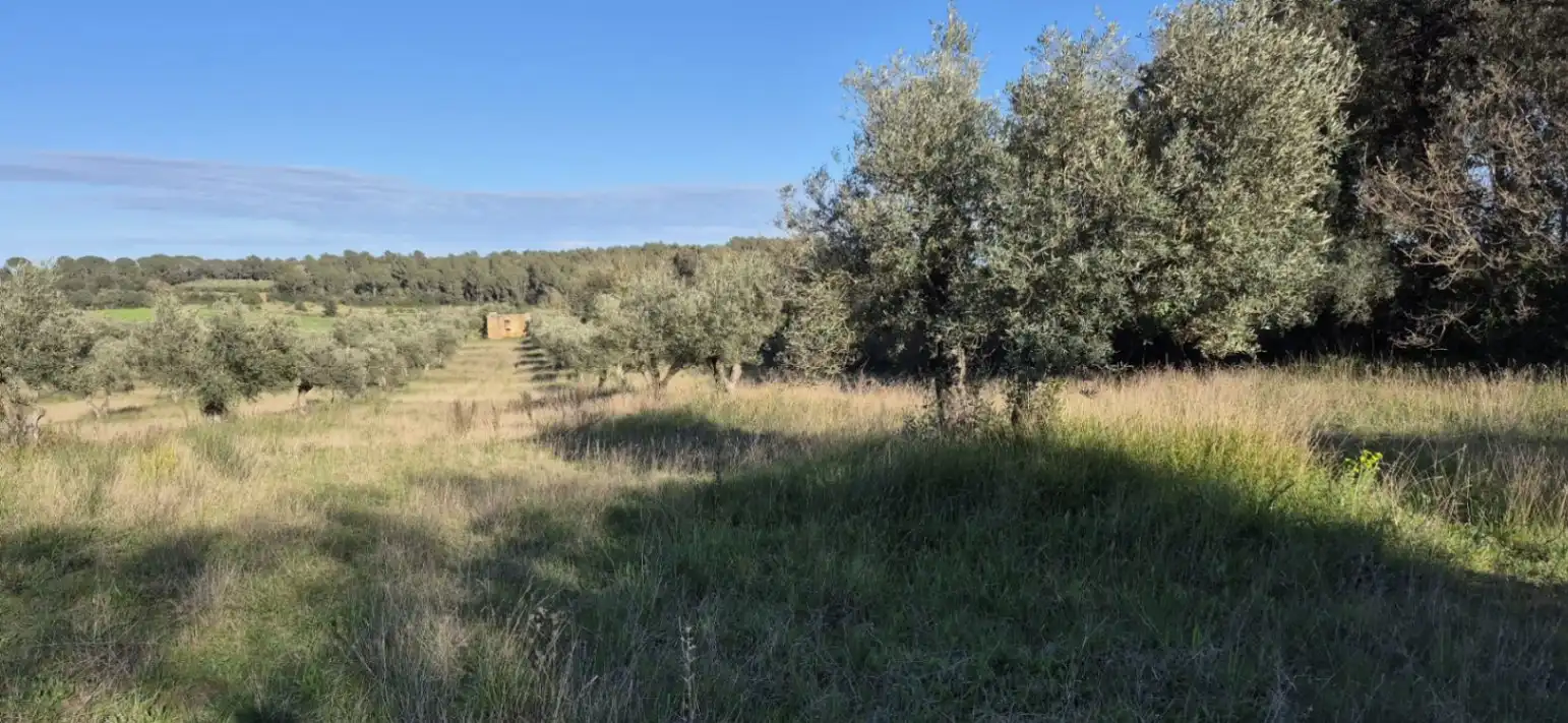 Residencial en venta en Ullastret