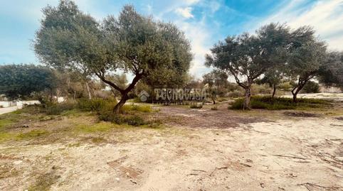 Photo 2 of Industrial land for sale in Barbate ciudad, Cádiz
