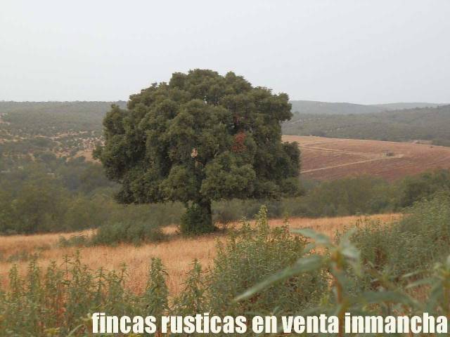 Terreno en Venta en Abenójar