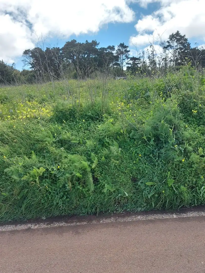 Terreno en venta en San Cristóbal de la Laguna