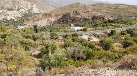 Terreno rústico en venta en Alcolea  4.800 m2 frente al pueblo, immagine 2