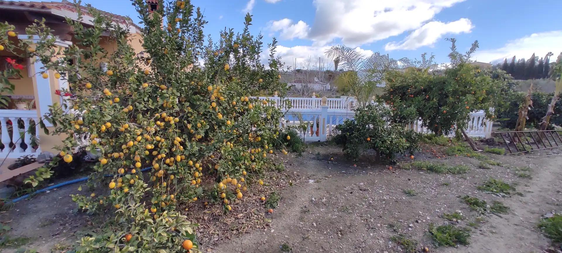 Jardí de Finca rústica en venda en Coín amb Jardí privat, Terrassa i Piscina