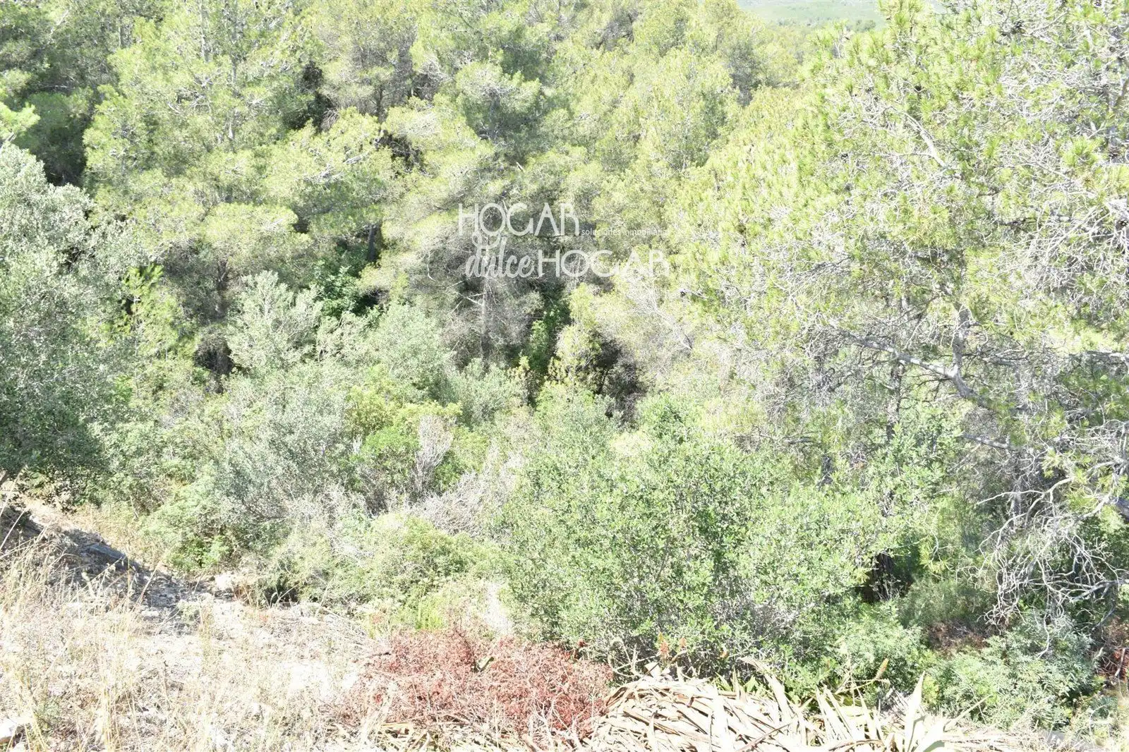 Rural land for sale in TER-UR CAN GORDEI, imagen 3