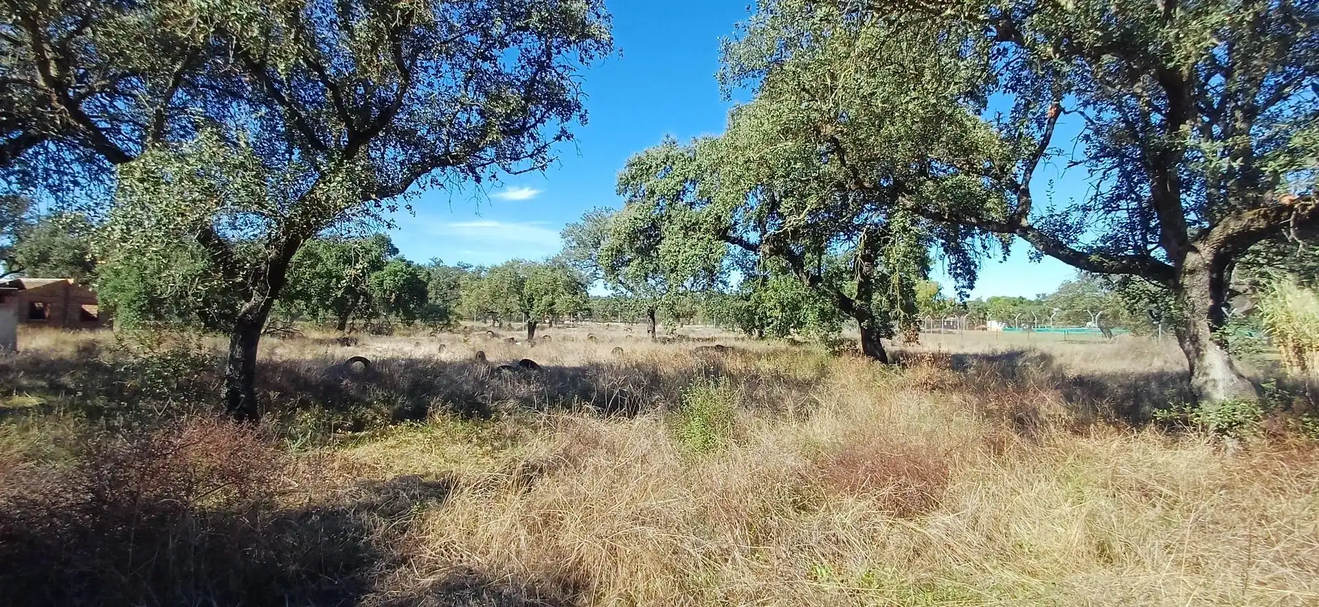 Houses for sale in Badajoz  with Community pool
