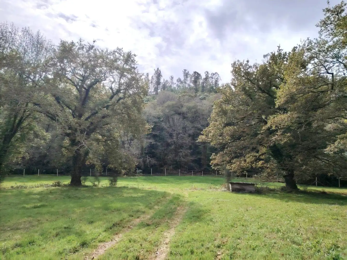 Country homes for sale in Negreira