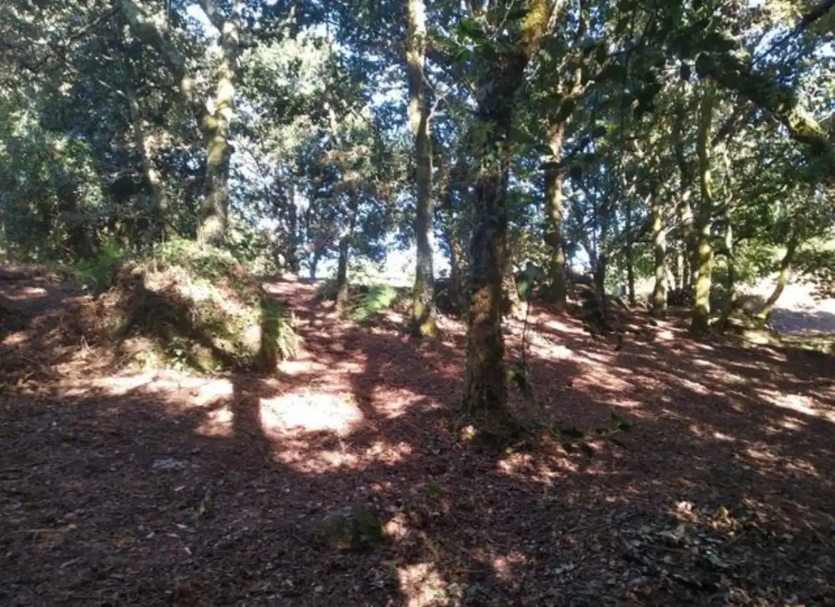 Terreno residenziale in vendita a N/A, imagen 2