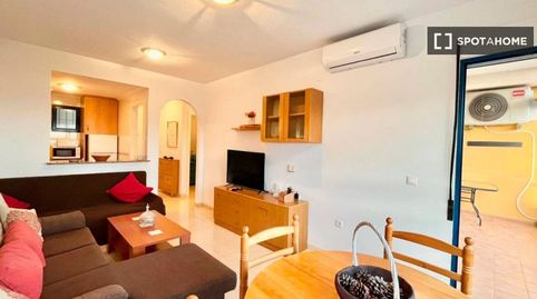 Foto 4 de Habitació a Campoamor, Orihuela