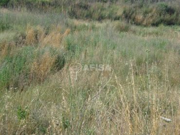 Terreno residenziale in vendita a Sils