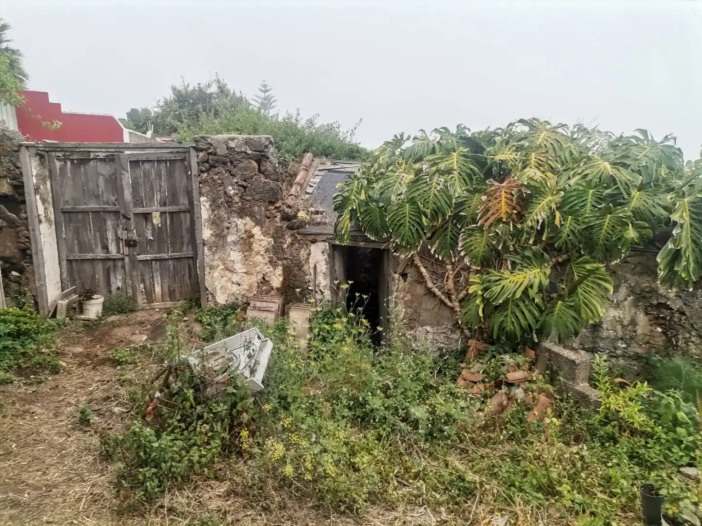 Finca rústica en venda en Icod de los Vinos amb Terrassa i Balcó