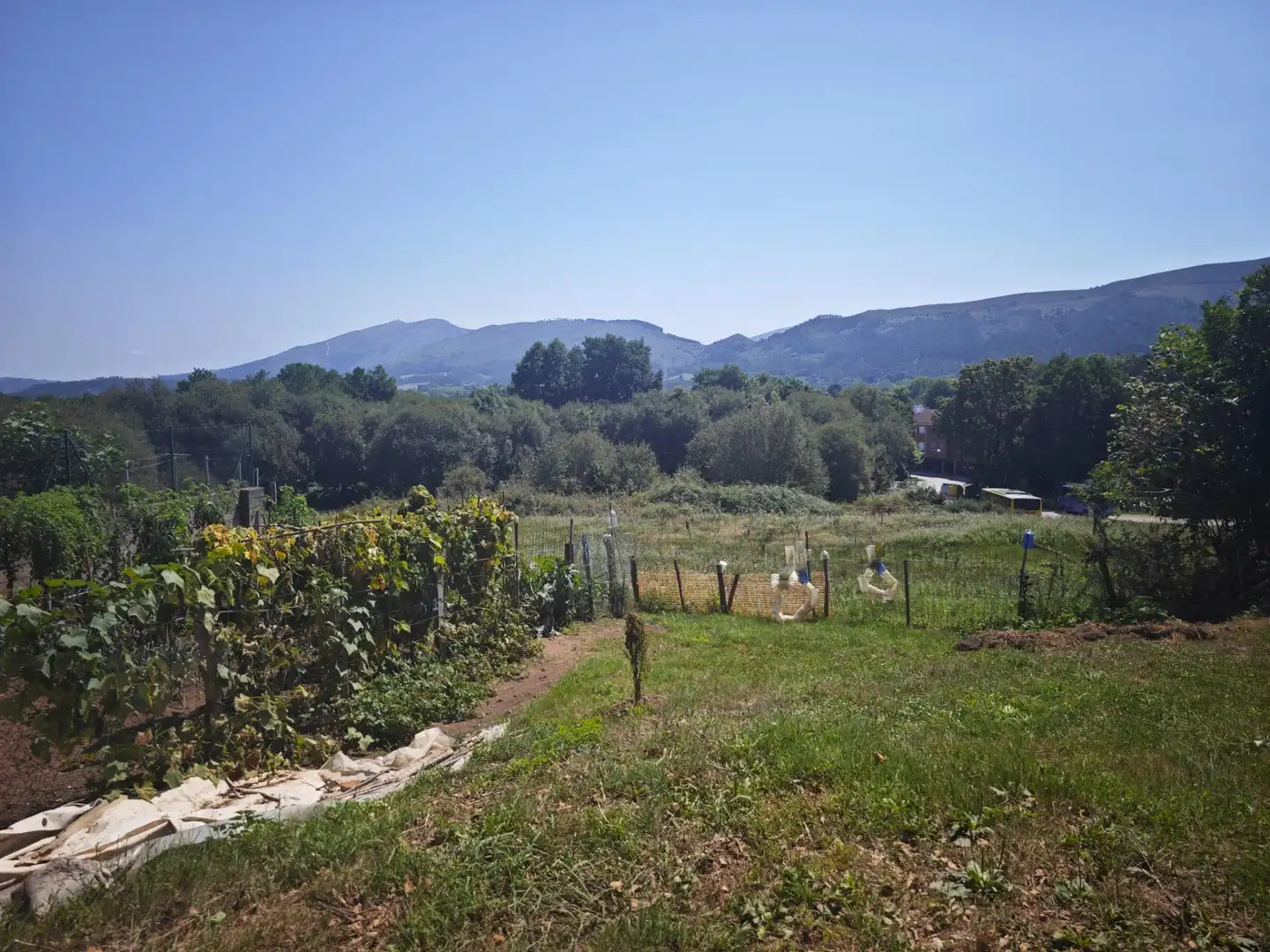 Finca rústica en venta en Cabezón de la Sal