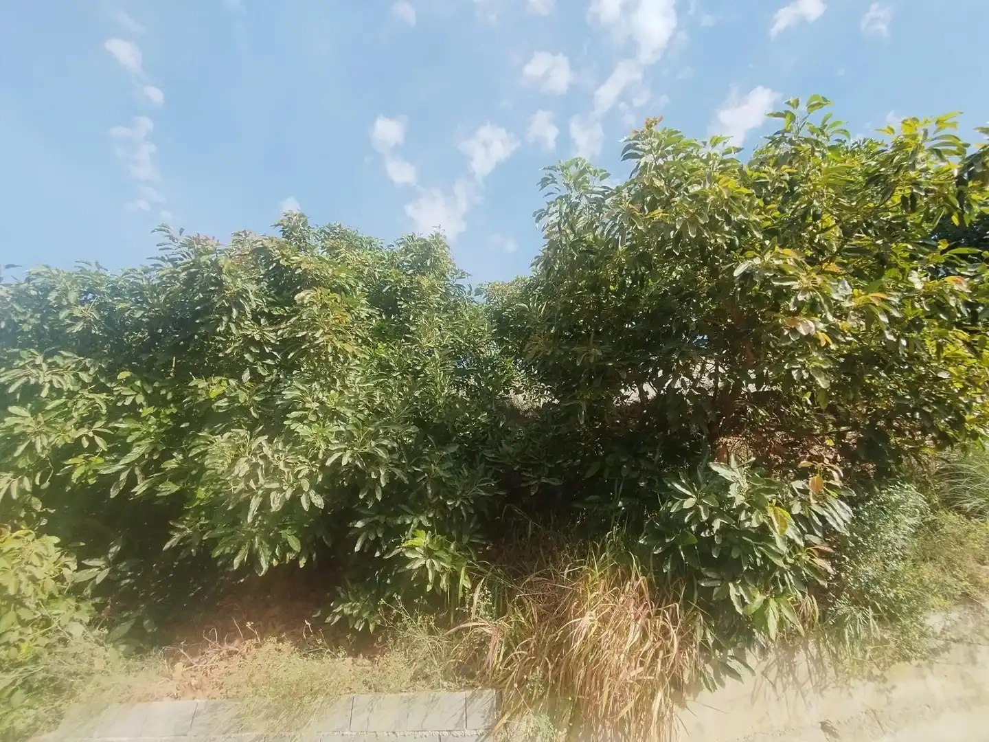 Casa rústica con terraza en venta en Camino Guájar-Faragüit, imagen 12