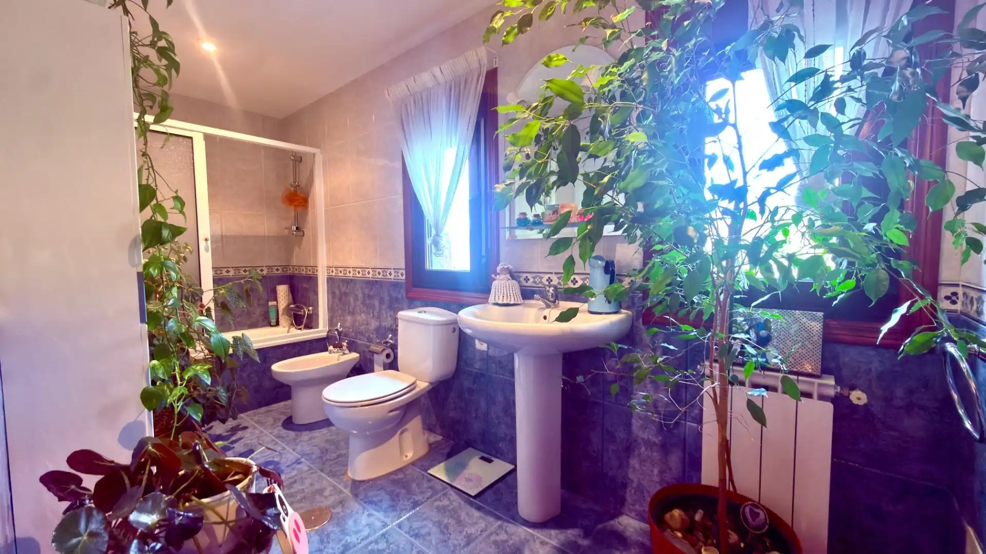 Bathroom of Houses for sale in Esgos  with Private garden, Parquet flooring and Furnished