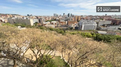 Photo 5 of Flat to share in La Torrassa, L'Hospitalet de Llobregat