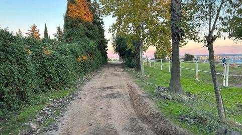 Photo 3 of Country house for sale in Tablero Bajo - Arruzafilla, Córdoba