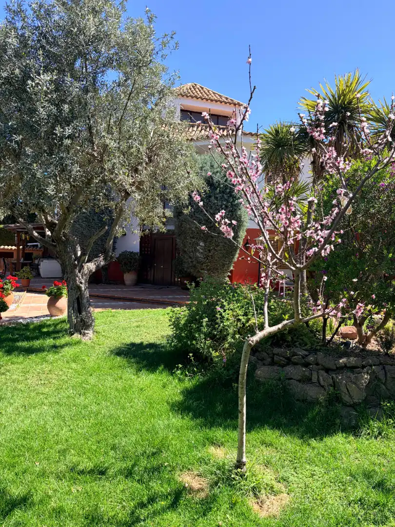 Chalet con piscina en venta en El Puig, imagen 9