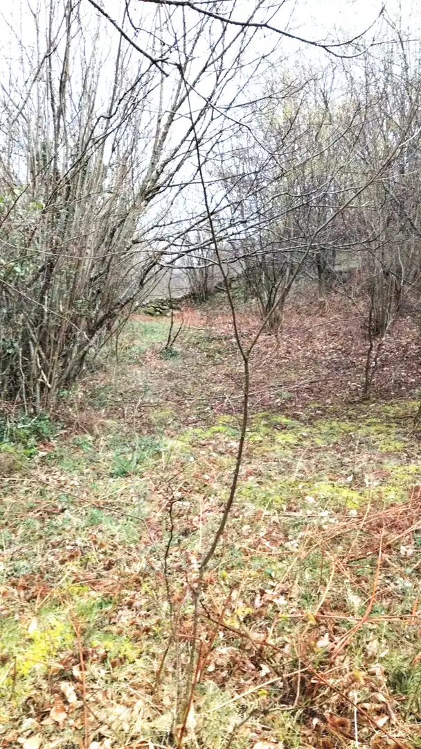 Residential land for sale in Bº LA CABANILLA, imagen 9
