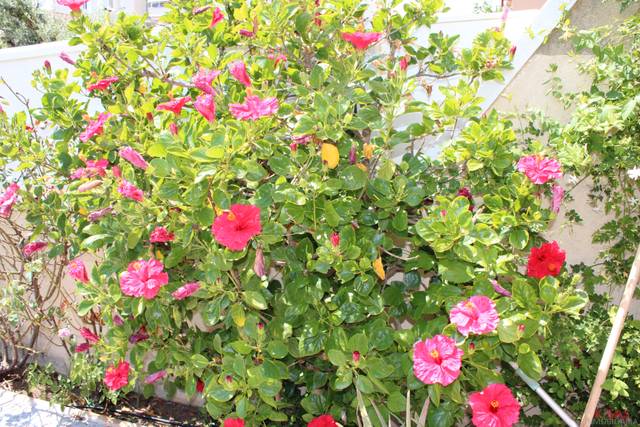 Piso en Venta en Cunidor