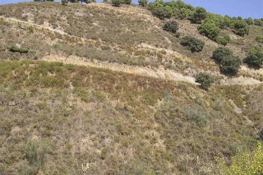 Terreno rústico en venta en Sedella, imagen 6
